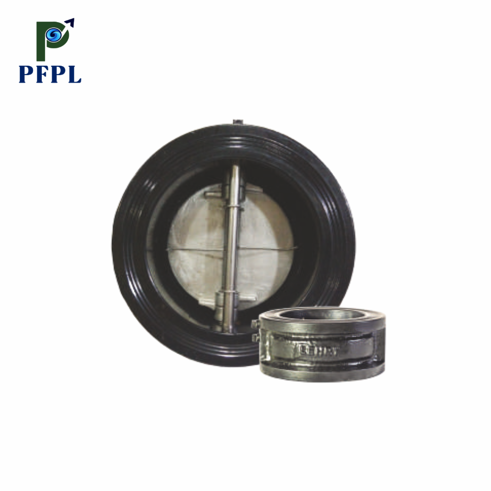 CI Dual Plate Check Valve – PN16