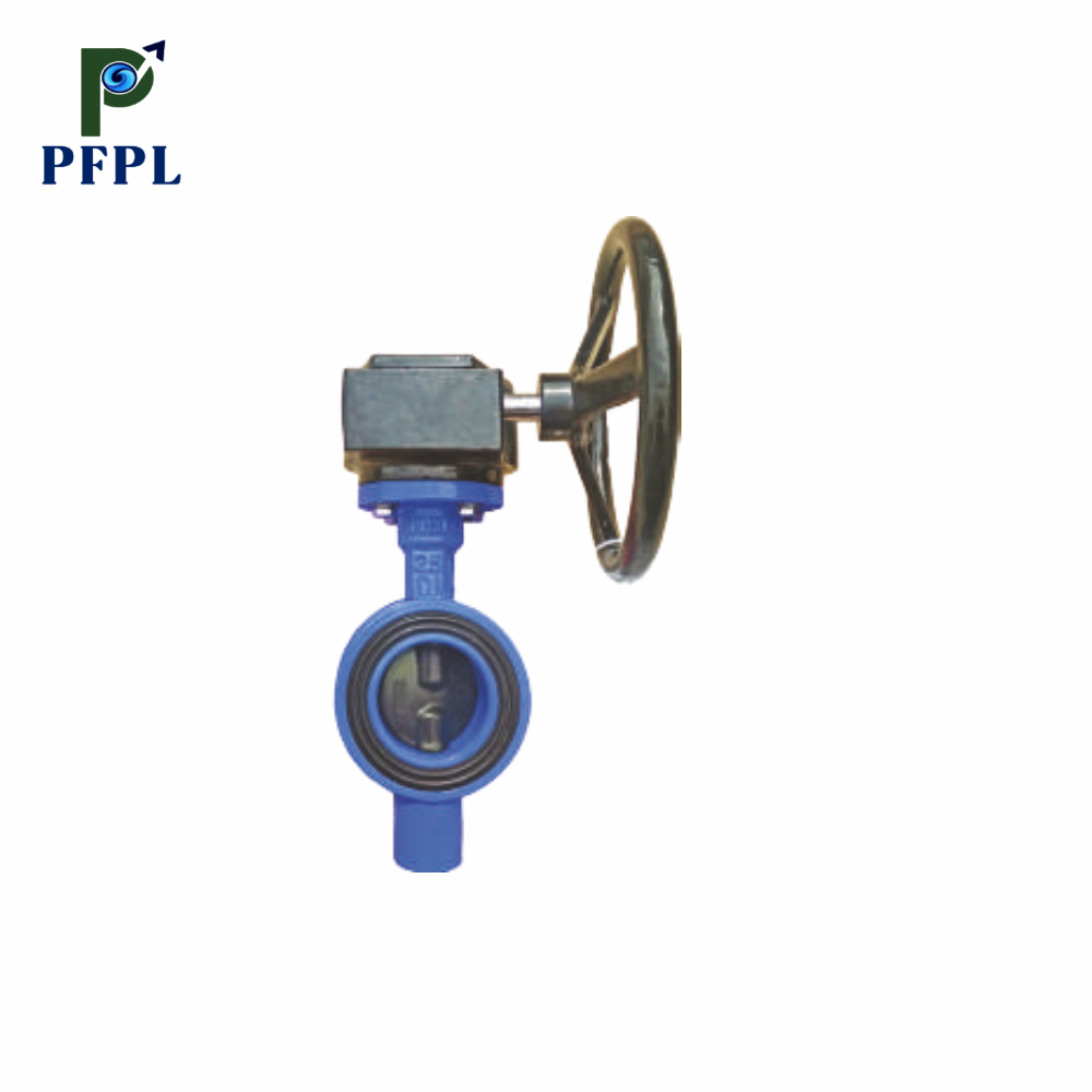 DI – Butterfly Valve PN25