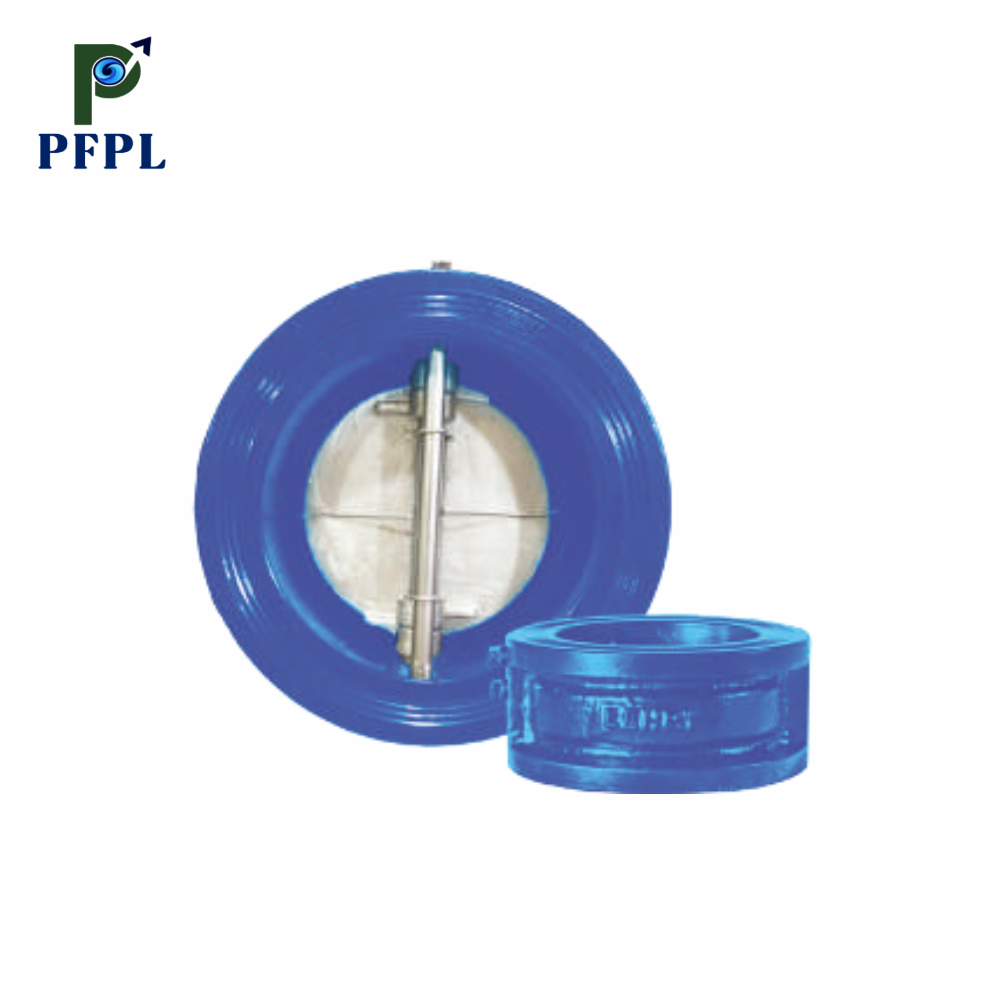 DI Dual Plate Check Valve – PN25