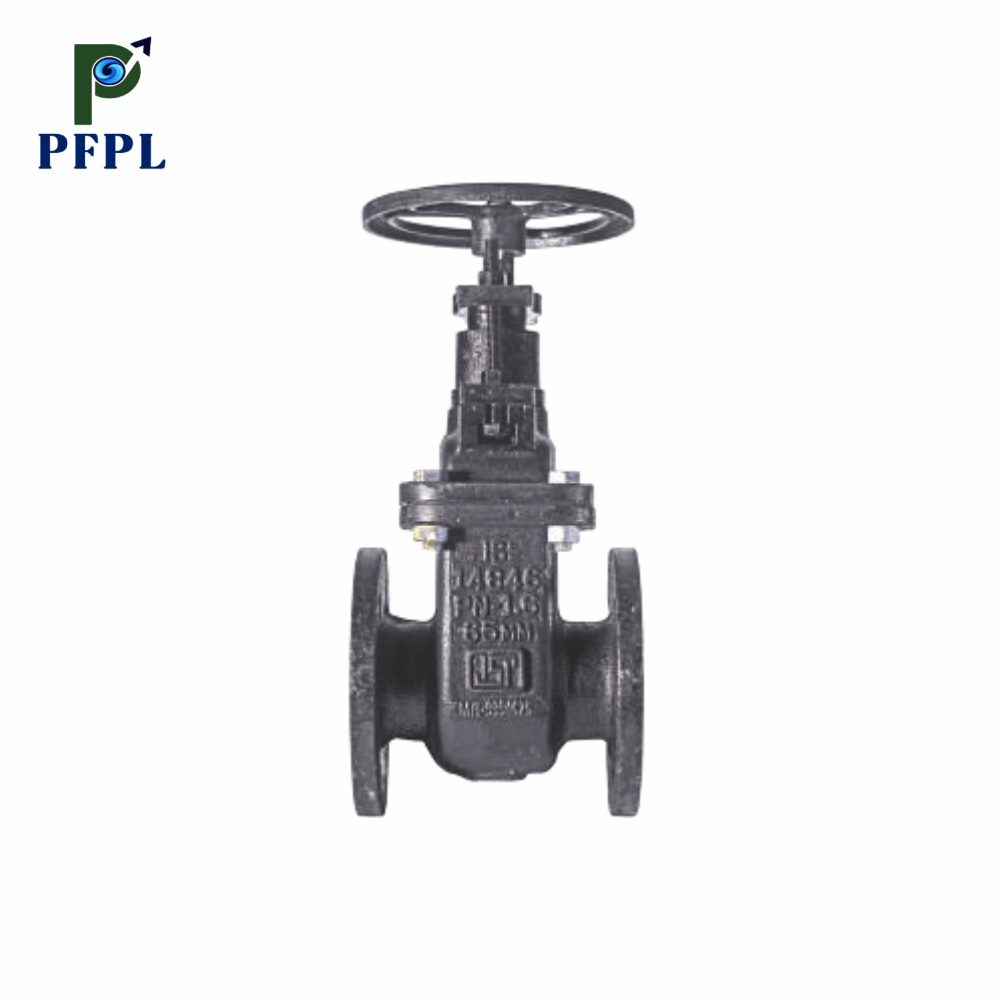 DI Non-Rising Gate Valve