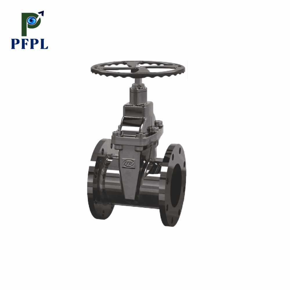 DI Soft Seated NRS Gate Valve